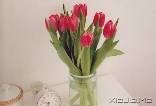 不要轰轰烈烈,只求安安心心 (1)