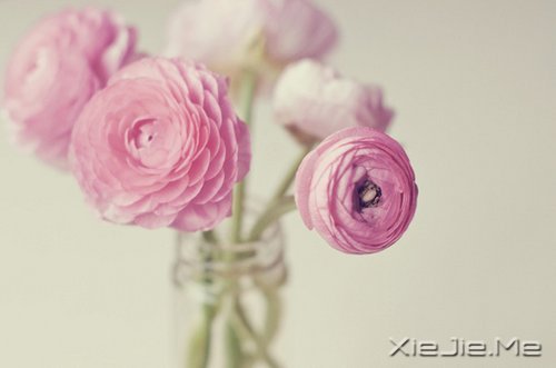 һ��һ�⣬������������������� (1)