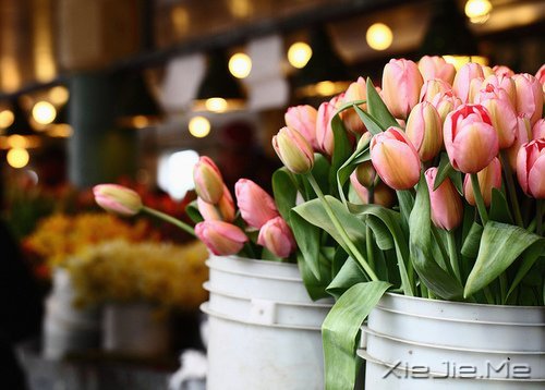 若你懂得,就请珍惜 (4)