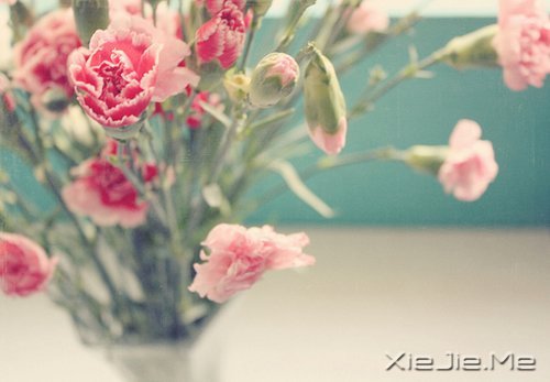 每个人都有自己的人生,冷暖自知 (7)