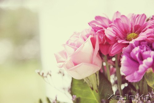 �Ҳ��³��󣬶�����������ȥ (9)