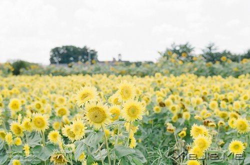 私奔吧,哪怕一个人 (2)