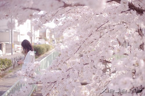 因为知足,所以更接近幸福 (2)