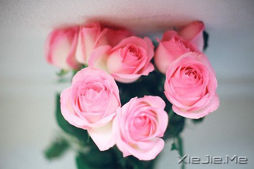 ʱ��������ֻ������һȥ���� (8)