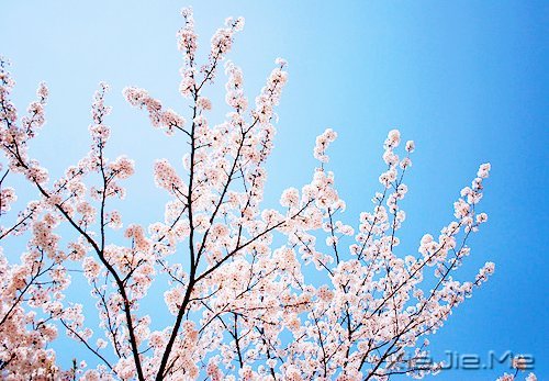 只要内心不乱,外界就很难改变你什么 (4)