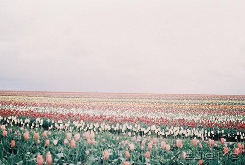 期待一个温柔的距离,保鲜所有美好的记忆 (6)