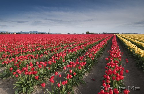 期待一个温柔的距离,保鲜所有美好的记忆 (7)