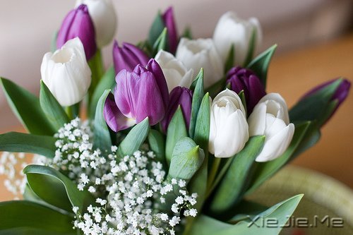 默然相爱,寂静喜欢 (6)