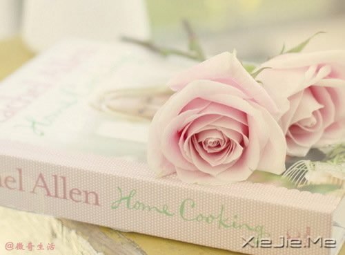 花开为谁谢,花谢为谁悲 (5)