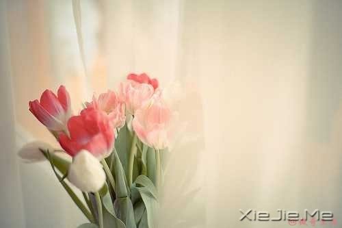 人,总是要醒来的,在某个时刻 (1)