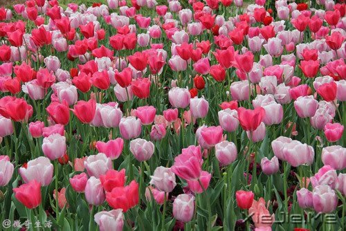 人,总是要醒来的,在某个时刻 (9)