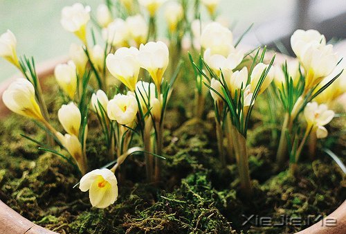 无论好坏,明天都会到来 (2)