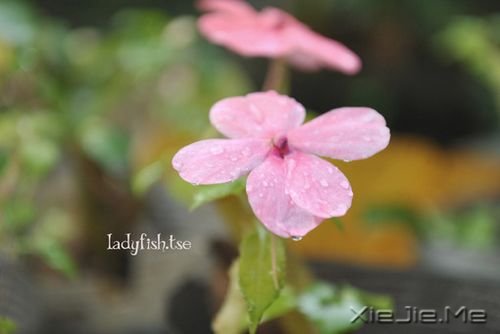 你只有读懂了生命之重,才能看淡时光之轻 (8)