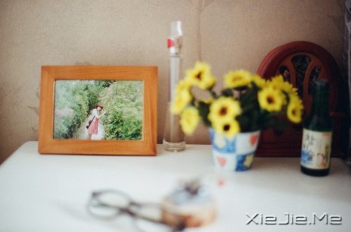 晚安心语:不要因为难过,就忘了散发芳香 (8)