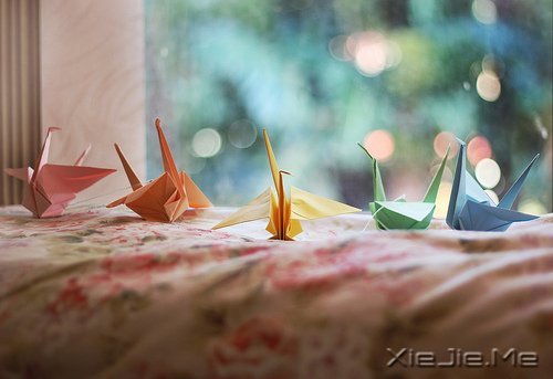 早安心语:安慰别人的话,终究安慰不了自己 (10)