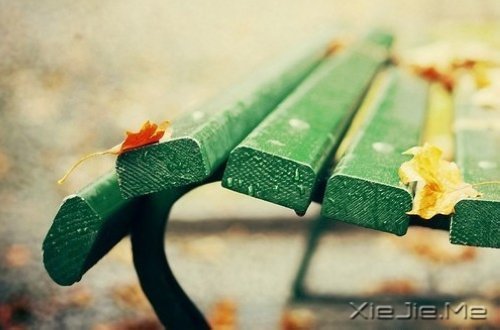 晚安心语:生活是场修行,活的是一种心境 (9)