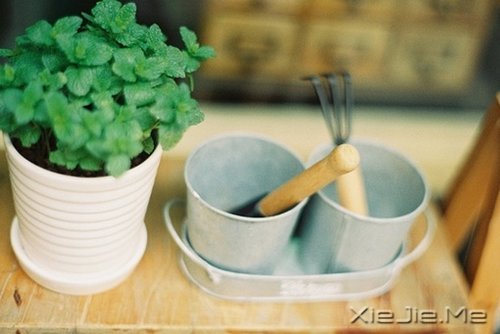 早安心语:控制好心情,生活才会处处祥和 (11)