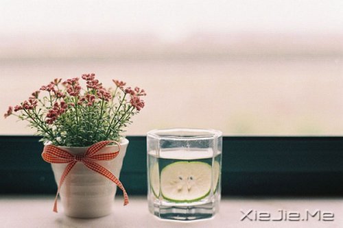 晚安心语:与其诅咒黑暗,不如点亮灯火 (10)