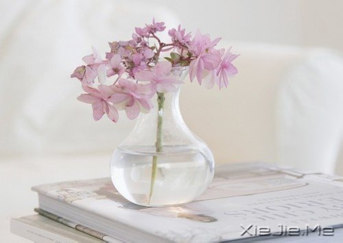 早安心语:得意时要看淡,失意时要看开 (9)