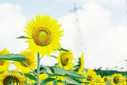 早安心语:收拾心情,重新上路 (3)