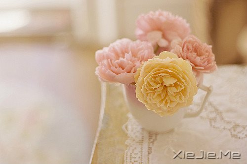 早安心语:收拾心情,重新上路 (9)