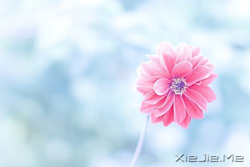 晚安心语:把生活转个身,重新开始 (2)