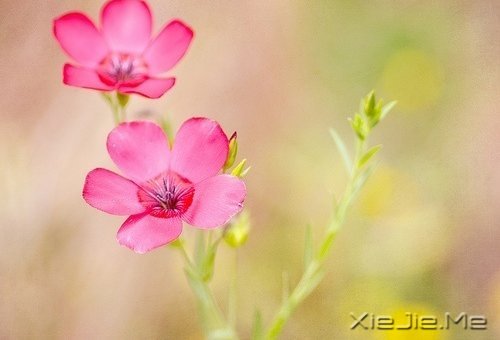 在时间的渡口,我们皆是过客 (3)