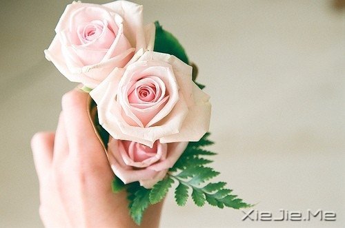 晚安心语:遇见,就是幸福 (10)