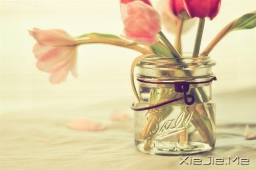 �������յ㣬��΢Цһֱ��ǰ (7)