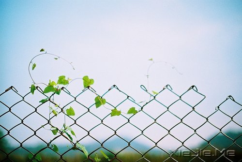 �簲�����������룬��ӹ������ (2)