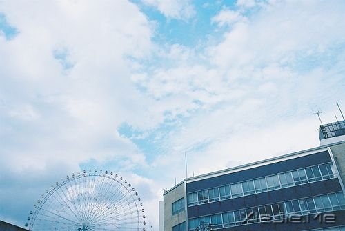 晚安心语:最好的决定,往往是不假思索的那一个 (5)