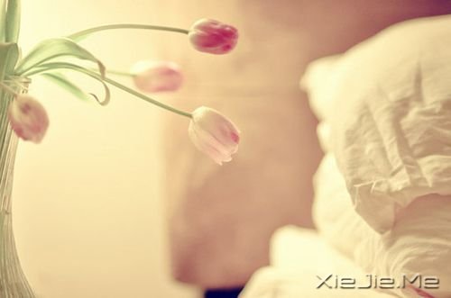 �簲���������������һ���˵����� (7)