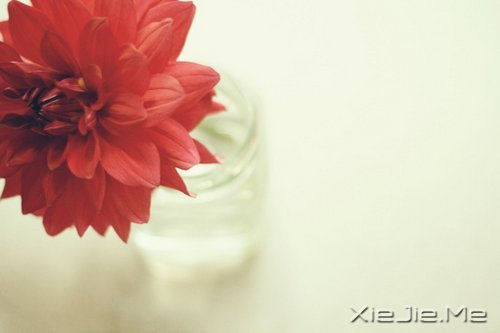 晚安心语:别让人生,输给了心情 (4)