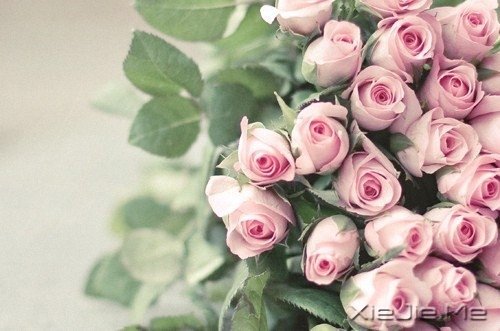 晚安心语:别让人生,输给了心情 (10)