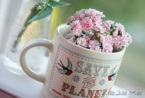 早安心语:你看事情太明白,往往就失了做事的勇气 (8)