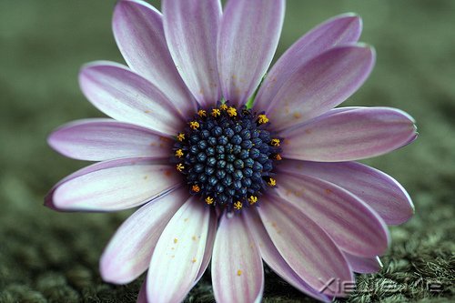 早安心语:对未来的真正慷慨,是把一切献给现在 (7)