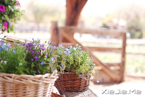 早安心语:掌一盏灯,惊艳世间 (3)