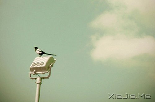 早安心语:如果我不这么在乎,生活会简单得多 (2)