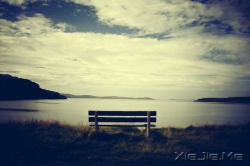 早安心语:坚强向上,靠近阳光 (3)