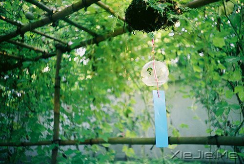 �簲�����Ϊ�Լ����Ϊ���ˣ���������� (7)