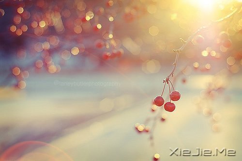 晚安心语:问心无愧,活着不累 (2)