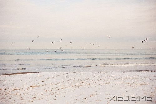 晚安心语:把手放开,你得到的是一切 (6)