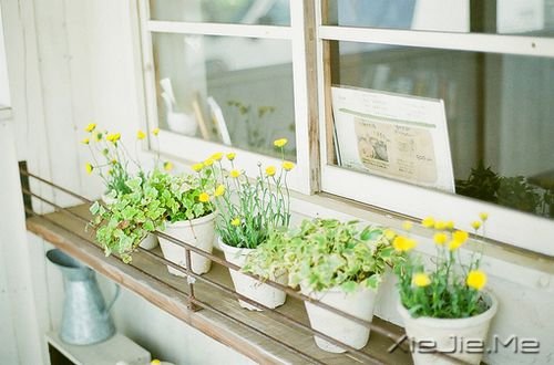 �������ӵ�е�Խ�٣���Խ����ȥ��ϧ (4)