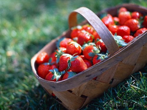 早安心语:住未来的我,你高攀不起 (2)