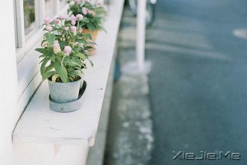 早安心语:住未来的我,你高攀不起 (3)