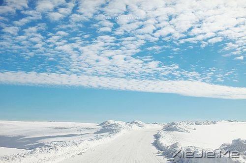 晚安心语:最美好的总会在不经意间出现 (1)