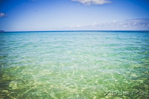 早安心语:人生有多残酷,你就该有多坚强 (6)