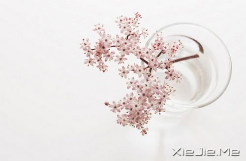 �簲����������ڱ��˵����������ʧ���Լ�����·�� (2)