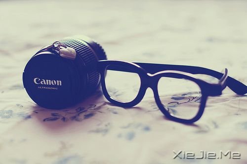 早安心语:手松开,你拥有的是一切 (4)