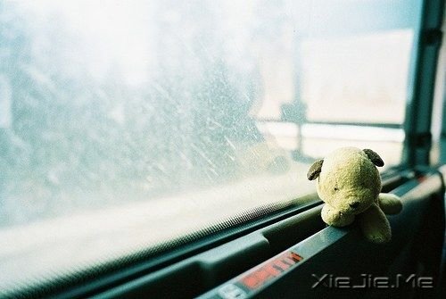 晚安心语:成长就是逼着你一个人去坚强 (4)